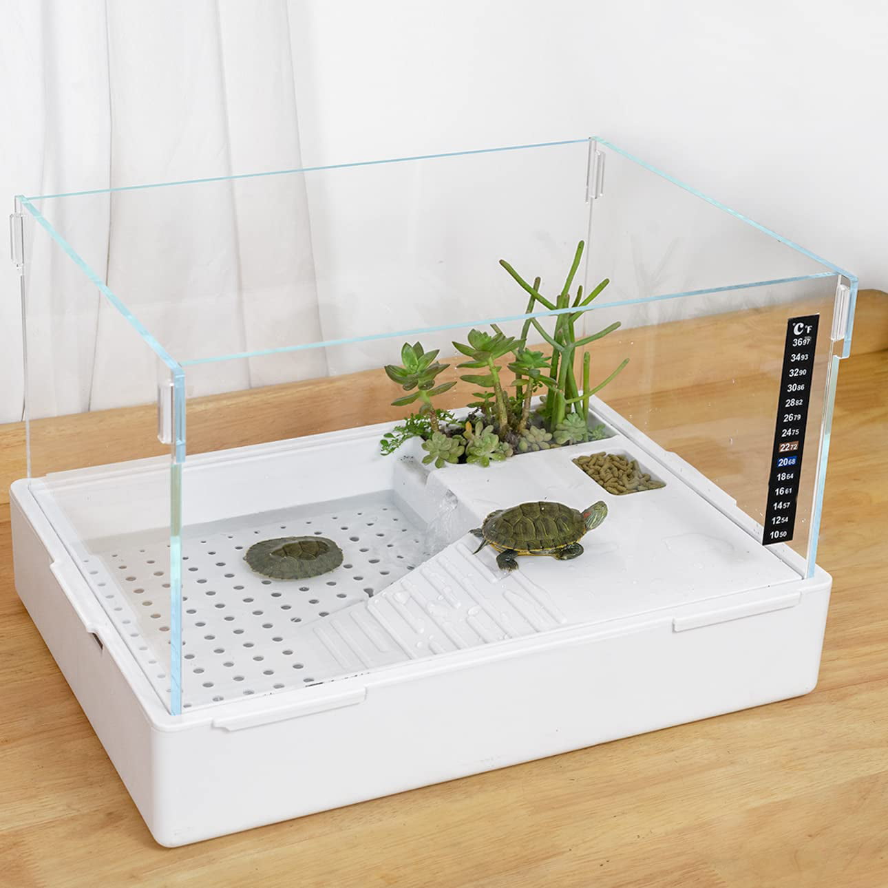 Turtle Tank with Adjustable Water Pump Filter, Full View Visually ...