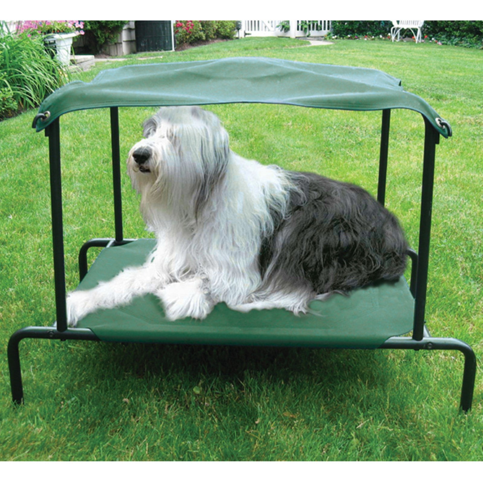 Kittywalk-PWBB101-Puppywalk-Breezy-Bed-Large-Green-42-in-x-30-in-x-32-in_07326e60-be1d-468a-be26-851877da542d_1.68a96b2bfba7f5fc583fc0d7a48e39c1.jpeg